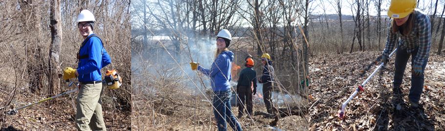 Volunteers working to restore native vegetation in the Waubesa Wetlands at a DNR SNA Workday. Photos taken by Stephanie Herbst.